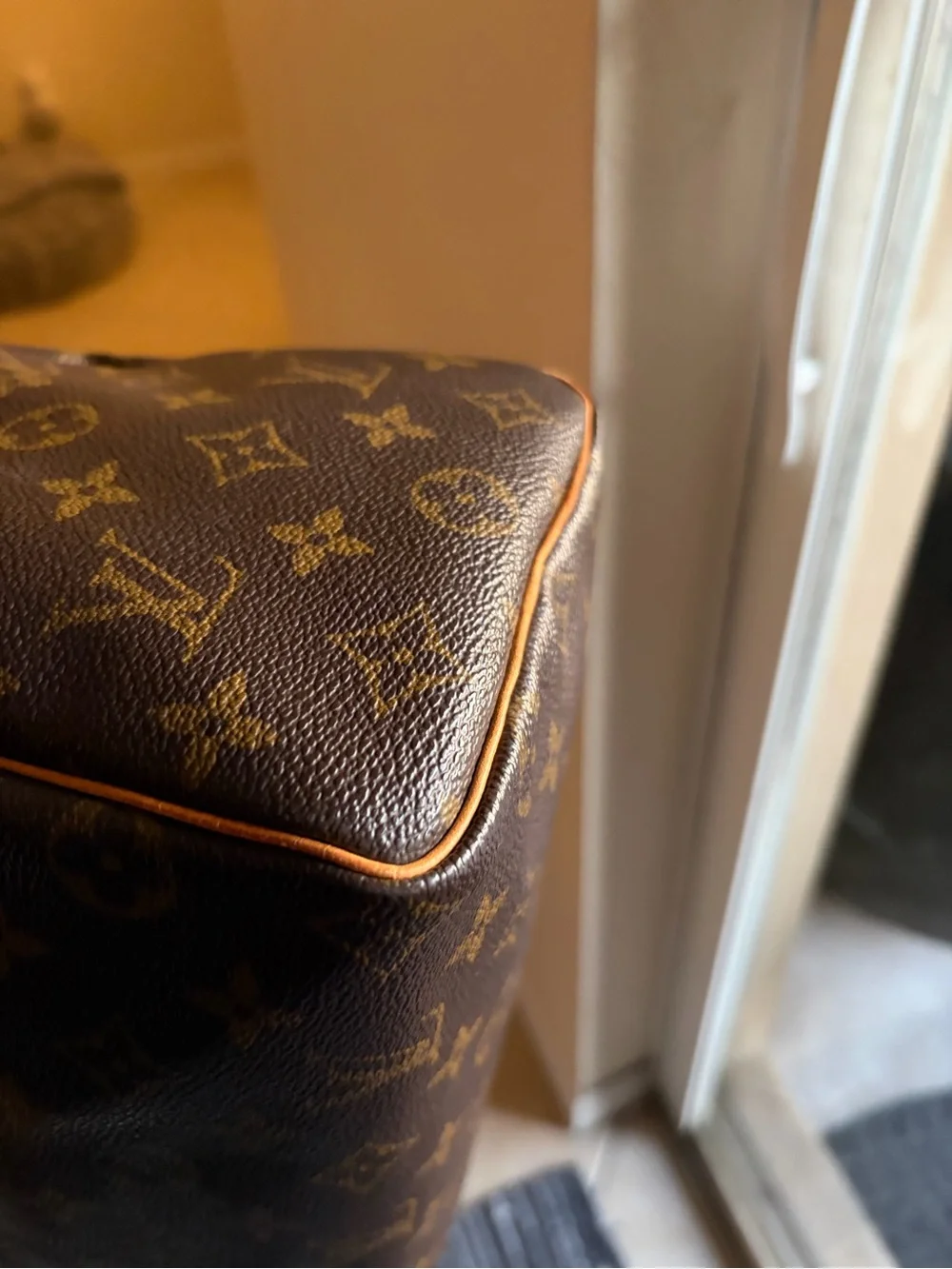 Louis Vuitton Monogram Speedy 25